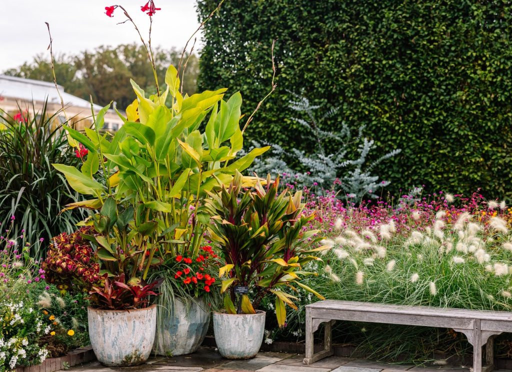 Gardening Certificate Longwood Gardens
